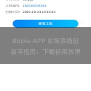 Bitpie APP 比特派钱包新手指南：下载使用教程