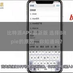 比特派APP最新版 选择Bitpie的原因，你知道吗？