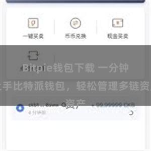 Bitpie钱包下载 一分钟上手比特派钱包，轻松管理多链资产