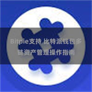 Bitpie支持 比特派钱包多链资产管理操作指南