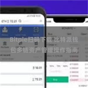 Bitpie扫码下载 比特派钱包多链资产管理操作指南