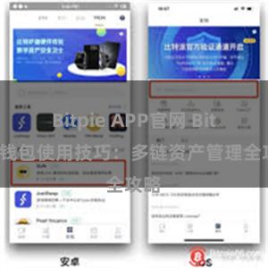 Bitpie APP官网 Bitpie钱包使用技巧：多链资产管理全攻略