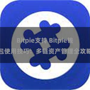 Bitpie支持 Bitpie钱包使用技巧：多链资产管理全攻略