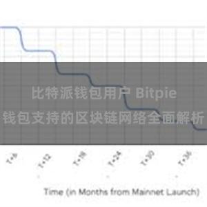 比特派钱包用户 Bitpie钱包支持的区块链网络全面解析