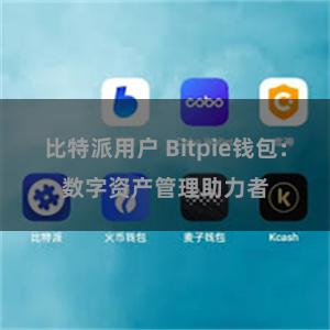 比特派用户 Bitpie钱包：数字资产管理助力者