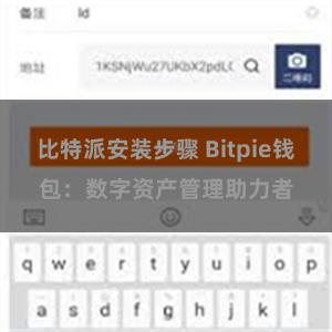 比特派安装步骤 Bitpie钱包：数字资产管理助力者