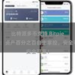 比特派多币支持 Bitpie钱包：资产百分之百自主掌控，安全可靠！