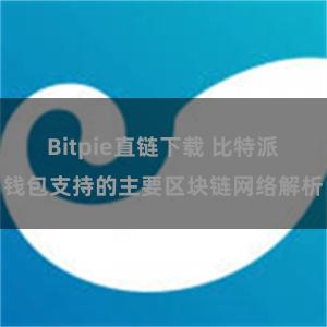 Bitpie直链下载 比特派钱包支持的主要区块链网络解析