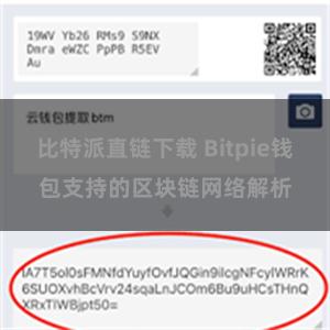 比特派直链下载 Bitpie钱包支持的区块链网络解析