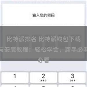 比特派排名 比特派钱包下载与安装教程：轻松学会，新手必看