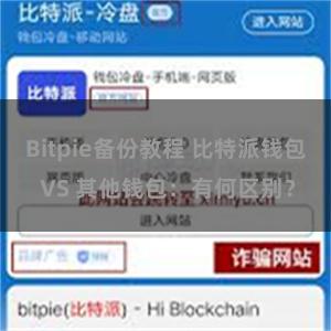 Bitpie备份教程 比特派钱包 VS 其他钱包：有何区别？