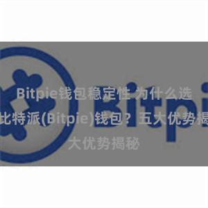 Bitpie钱包稳定性 为什么选择比特派(Bitpie)钱包？五大优势揭秘