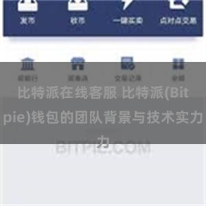 比特派在线客服 比特派(Bitpie)钱包的团队背景与技术实力