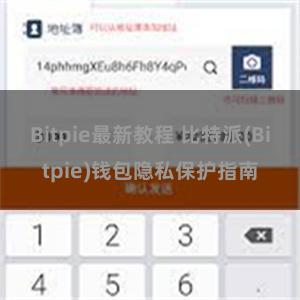 Bitpie最新教程 比特派(Bitpie)钱包隐私保护指南