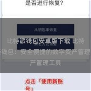 比特派钱包安卓版下载 比特派轻钱包:安全便捷的数字资产管理工具