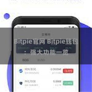 Bitpie官网 Bitpie钱包：强大功能一览