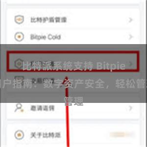 比特派系统支持 Bitpie用户指南：数字资产安全，轻松管理