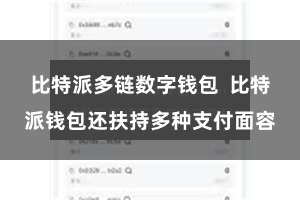比特派多链数字钱包  比特派钱包还扶持多种支付面容