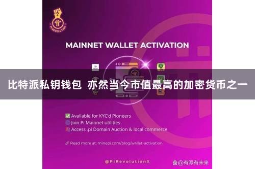 比特派私钥钱包  亦然当今市值最高的加密货币之一